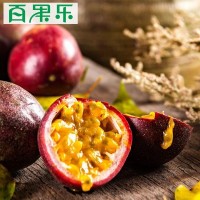 【百香果】產地直發(fā)新鮮熱帶水果西番蓮雞蛋果百香果 5斤包郵