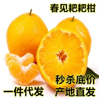 現(xiàn)貨 四川春見耙耙柑新鮮水果10斤當(dāng)季時令現(xiàn)摘柑橘子清甜多汁