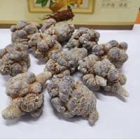 文山三七頭免費打粉 三七粉基地水洗不打蠟三七30頭40頭批發