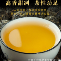 現貨批發 大雪山龍珠 云南普洱茶生茶 散裝春茶 廠家直發