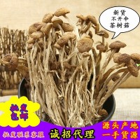 福建茶樹(shù)菇古田特產(chǎn)農(nóng)家250g茶樹(shù)菇不開(kāi)傘新貨茶薪菇干貨批發(fā)