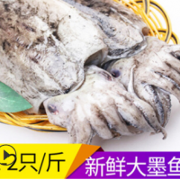 海鮮批發(fā)冷凍墨魚(yú)肉厚實(shí)好吃新鮮生鮮大烏賊飯店酒店量大從優(yōu)現(xiàn)貨