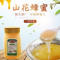 現(xiàn)貨供應(yīng)土蜂蜜結(jié)晶山花蜂蜜500g瓶裝土特產(chǎn)洋槐蜂蜜一件代發(fā)