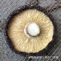 新香菇干貨產地批發直銷泌陽縣泌園土特產黑面干香菇蘑菇一件代發