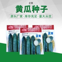 新品黃瓜雜交種 肉厚嫩脆黃瓜蔬菜籽 農田菜園基地高產黃瓜種子