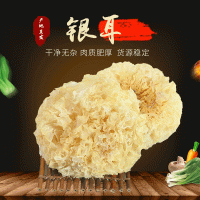 廠家批發無硫大朵白木耳 500g簡裝干貨大花銀耳 銀耳蓮子羹食材