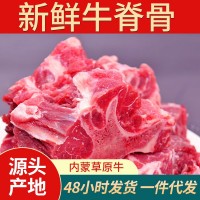 新鮮冷凍牛脊骨商用牛骨頭新鮮帶肉大骨頭牛肉新鮮帶肉牛蝎子批發(fā)