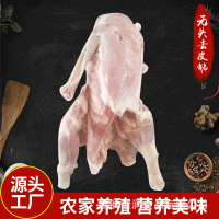 農(nóng)家養(yǎng)殖新鮮無頭去皮鵝 鐵鍋燉大鵝下酒菜 朗德鵝鵝制品生產(chǎn)廠家