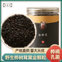 樺樹茸250g黑金顆粒白樺茸大塊長白山樺褐孔菌白樺茸代發廠家直銷