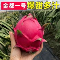 金都一號(hào)新鮮水果批發(fā)當(dāng)季整箱5斤非越南廣西農(nóng)產(chǎn)品紅心火龍果