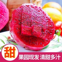 水果批發(fā)金都一號當季紅心火龍果新鮮農(nóng)產(chǎn)品整箱5斤一件代發(fā)