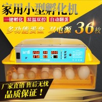 孵化機(jī)全自動(dòng) 36枚家用雙電源孵化器 雞鴨鵝鴿子多模式孵蛋器