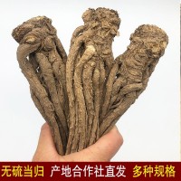 岷縣無硫當(dāng)歸條批發(fā)價甘肅產(chǎn)地直供中藥材全當(dāng)歸個子可切當(dāng)歸頭片