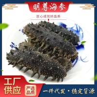 大連A級 淡干海參500g 廠家批發 非即食海參 海參干貨 海參禮盒裝