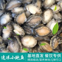 速凍鮑魚批發不帶殼冷凍小鮑魚肉 海鮮餐飲酒店海產品貝類廠家