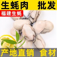 福建去殼鮮活生蠔肉海鮮水產(chǎn)新鮮大補現(xiàn)剝生蠔海蠣牡蠣肉速凍500g