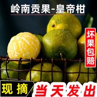 皇帝柑新鮮橘子當季水果貢柑橘蜜桔非沃柑砂糖橘整箱10斤廣西武鳴