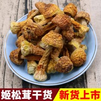 云南姬松茸干貨批發 新貨巴西菇 食用菌木耳香菇500克散裝松茸菌