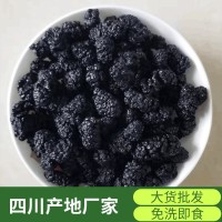 22年新貨P桑葚干食用四川產(chǎn)地免洗無沙桑葚子黑桑椹干茶散裝批發(fā)