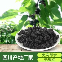 22年新貨桑葚干食用A級(jí)免洗四川黑桑葚子無(wú)沙桑椹干果茶散裝批發(fā)