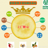 廣西特產(chǎn)融安金桔中國地理標志產(chǎn)品新鮮水果現(xiàn)摘特級脆蜜金柑包郵