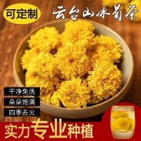 菊花冰菊馳菊花茶懷菊花韻級河南游念焦作特云臺山露批發靈青 2盒起批