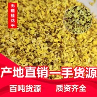 桂花廠家批發 金桂 桂花干 干桂花 廣西八月桂 花草茶 桂花茶  2斤起批