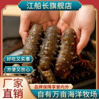 江船長鎖鮮高壓冷凍海參500g8粒裝深海刺參方便烹飪批發廠家直銷  20盒起批