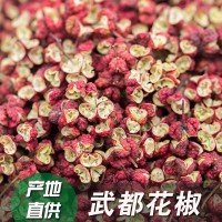 甘肅隴南武都大紅袍麻味醇厚花椒鹵料火鍋底料新貨上市500g 2袋起批