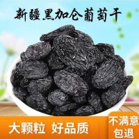 黑加侖500克 水洗無柄新疆特產黑提子干葡萄干散裝食品批發