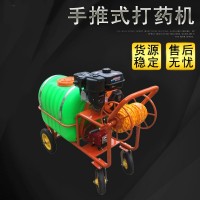 48伏高壓噴霧器手推式打藥機農(nóng)用高壓噴霧果園打藥機