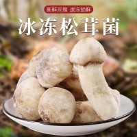 冰鮮松茸冰凍松茸云南特產(chǎn)山珍食用菌菇冬季煲湯食材菌子新鮮松茸 2千克起批