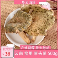 云南食用菌青頭菌500g廠家直批 干貨新貨個大散裝特產 食品批發 2袋起批