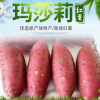 日本瑪莎莉紅薯高端品種紅皮黃肉現挖現賣老少皆宜