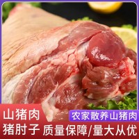 廠家直供阿文特種山豬肉豬肘子現(xiàn)殺冷鏈運輸肉質鮮嫩山豬肉豬肘子